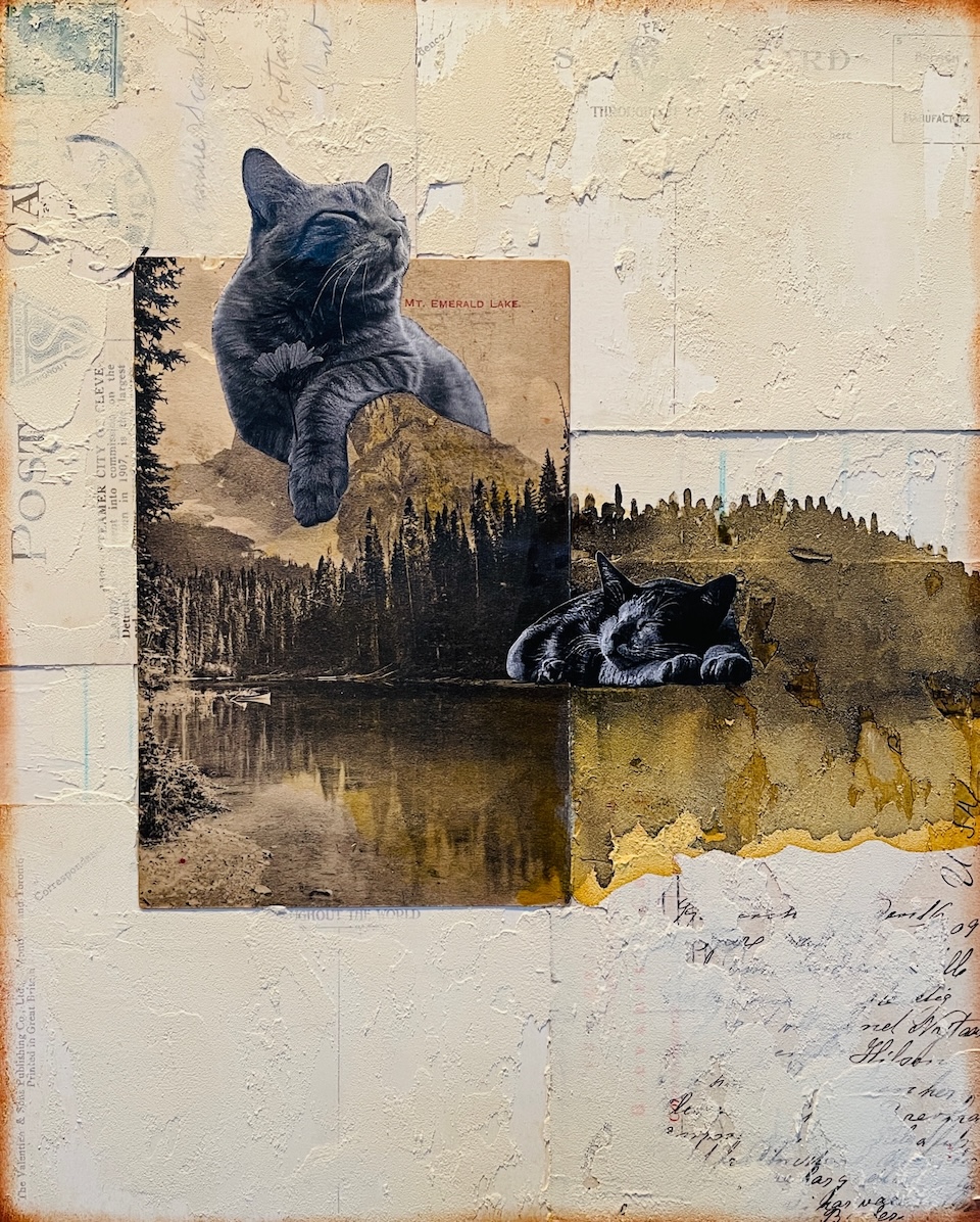 Cats Rule